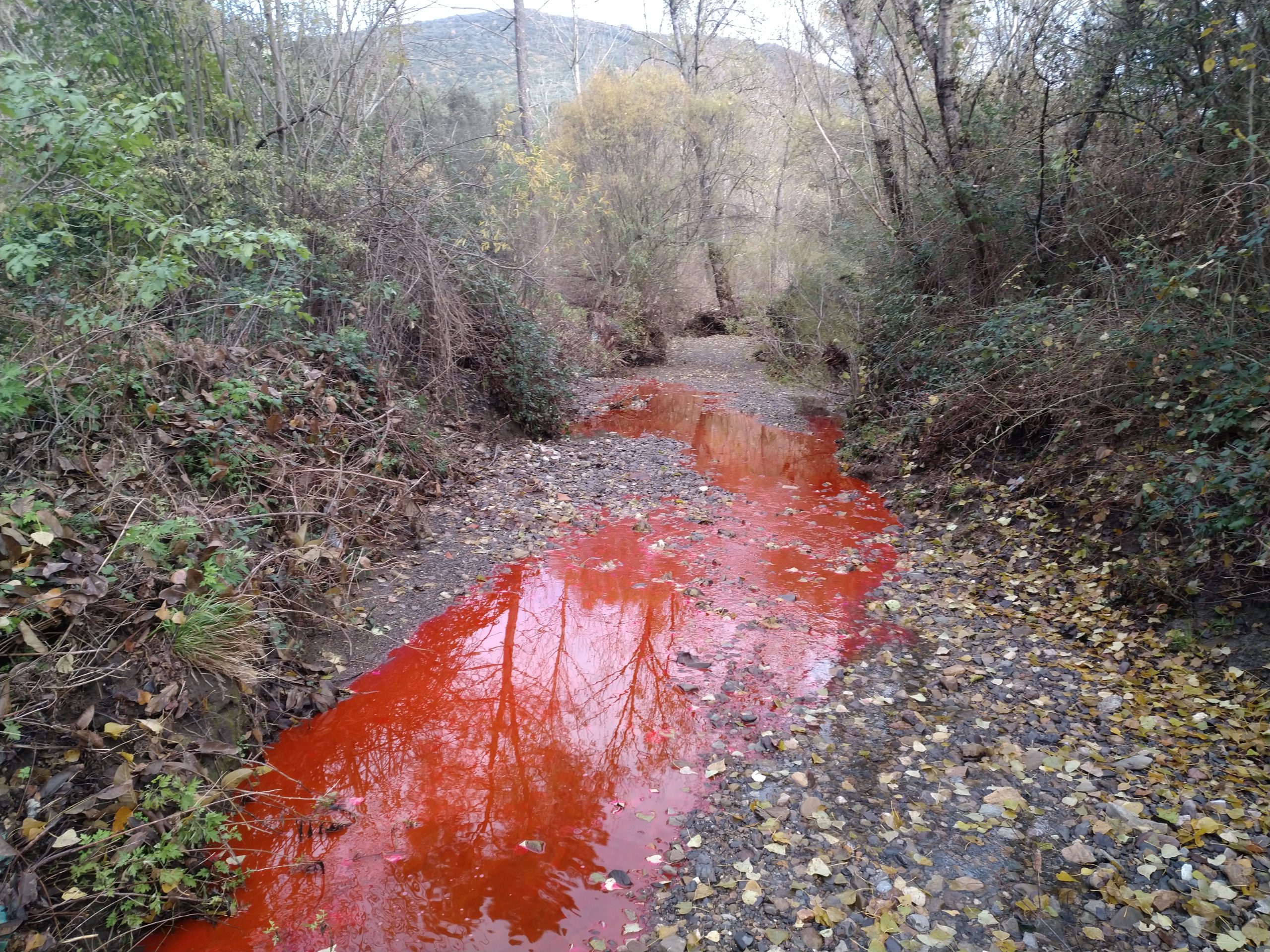 Mise en œuvre d’un traçage artificiel pour la caractérisation du fonctionnement du système karstique de St-Julien-les-Rosiers – EPTB des Gardons